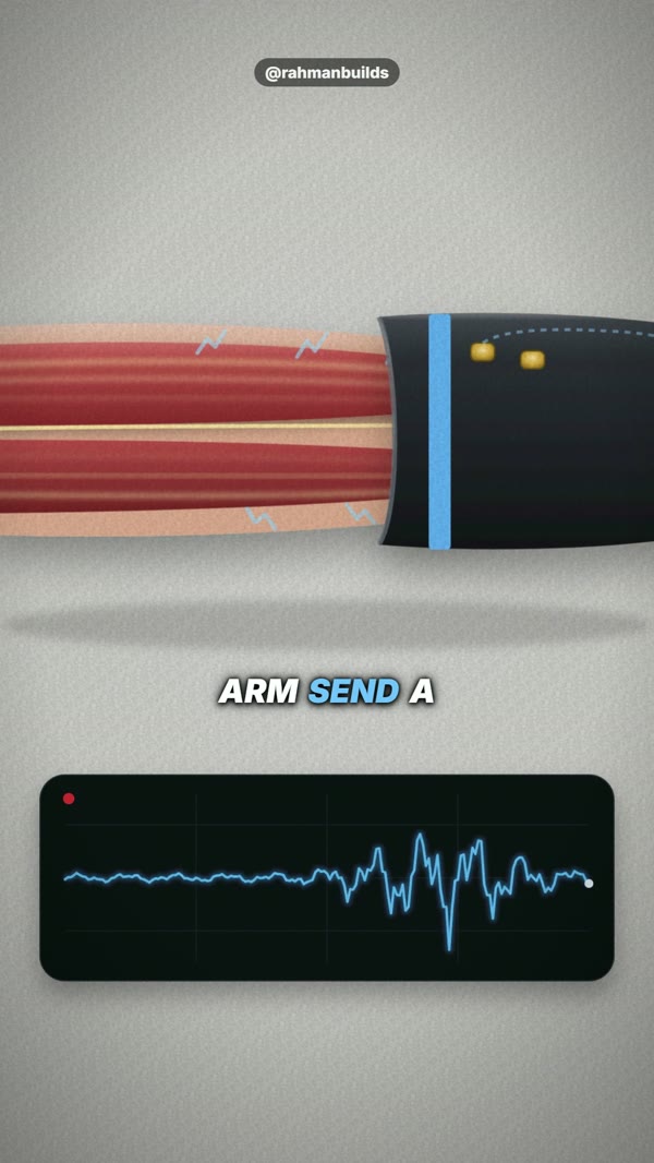 How the arm reads the muscles